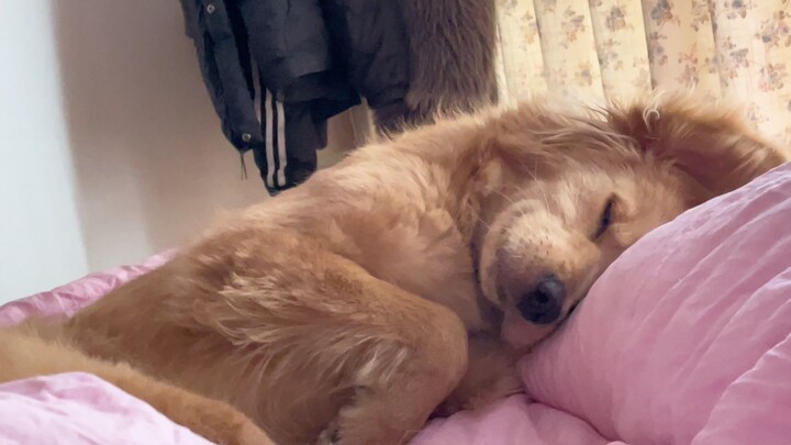 His little stretch is just too cute! Waking up on the first day of the new year feels so full of hap