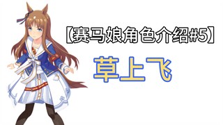 【赛马娘角色介绍#5】草上飞