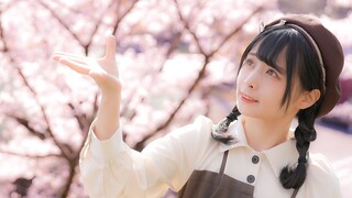 【Football Penta】Sakura Time Capsule【Musim semi telah tiba!】