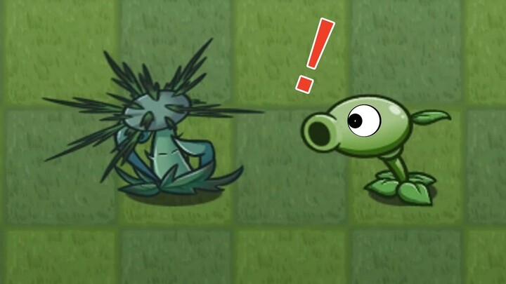 The Pea Shooter is so bald!