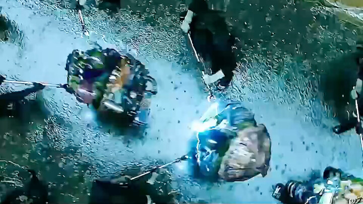 Girl Releases Baby Turtles—Decades Later, They’ve Mutated into #NinjaTurtles