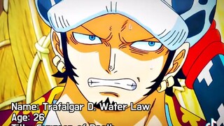 He is Trafalgar D. Water Law