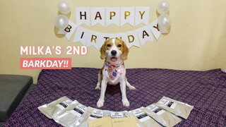 MILKA THE BEAGLE’S 2ND BIRTHDAY!! | Philippines