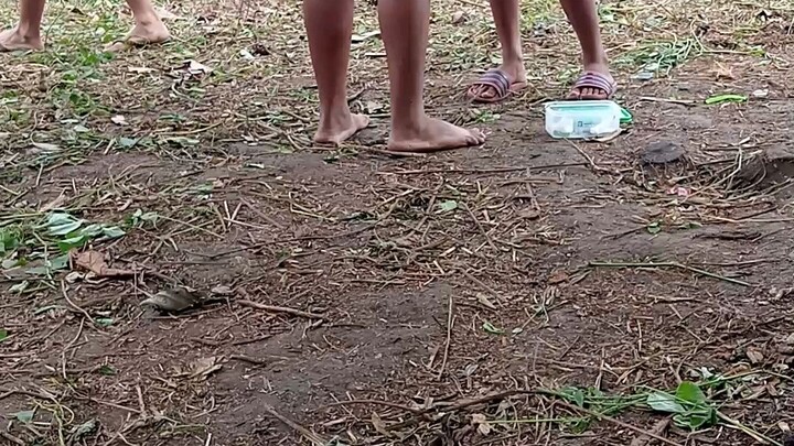 7 monts vs 3years