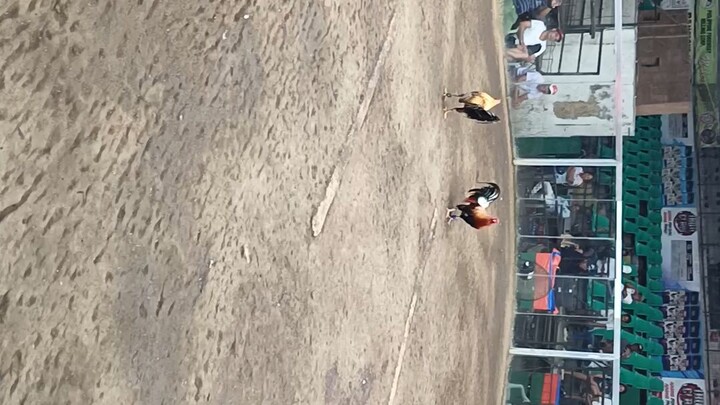 KALABASA WIN 🔥🔥🔥#JRGcolosseumBACOLOD