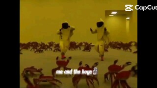 me and the boys