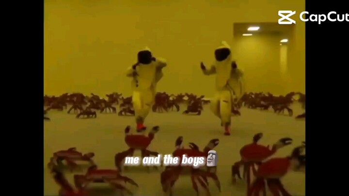me and the boys