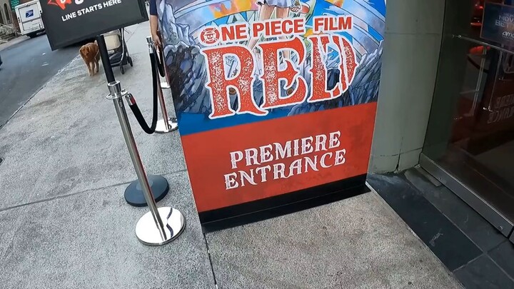 anime ONE PIECE FILM