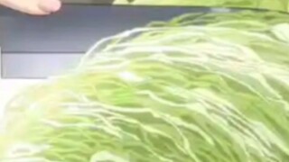 Cabbage: Okay, 90 points. Do you animators really have to draw a cabbage in such detail? It's so det