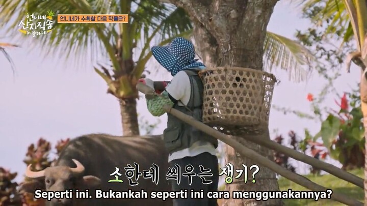 Fresh of the Sea in Calape Episode 04 (Sub Indo)