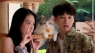 How can there be a cat in this world that only loves beautiful women!