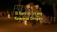 si Bocil di serang kawanan serigala