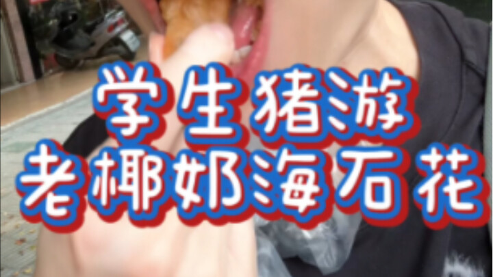 A Delicious and Lazy-Style Meal Plan for Our Piggy Classmate | Vlog My Mouth