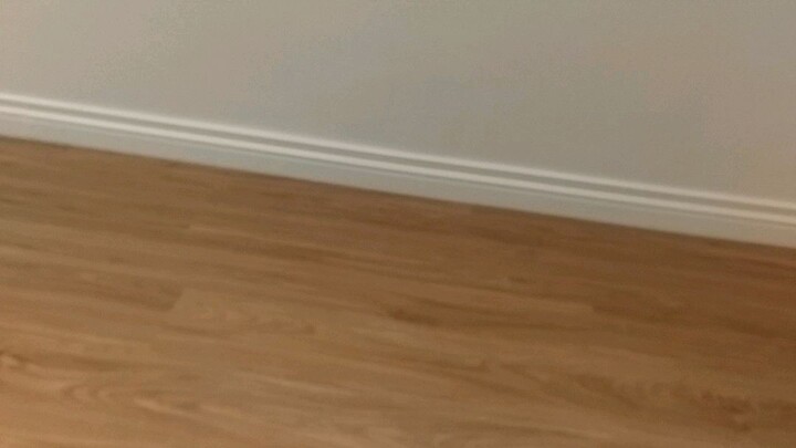 renovation