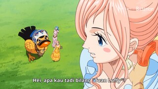 Fanclub Luffy emang gak main-main 😂