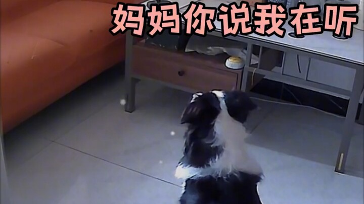 Teman saya sekarang benar‑benar lebih buruk daripada anjing