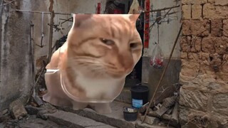 Bạn cùng phòng từ Giang Tây về nhà hẹn hò mù quáng