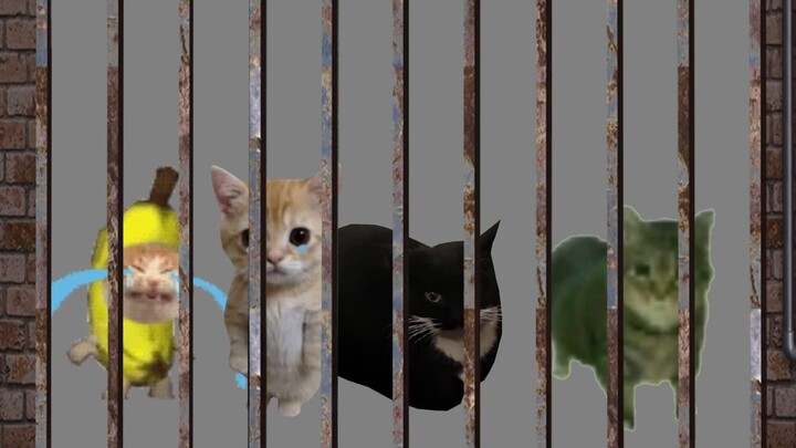 หนีรอดจากความตาย