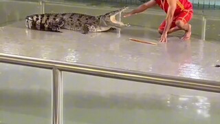 各路牛人的精彩运动瞬间#10