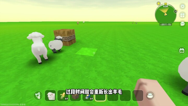 Mini có chuột hamster rồi! Ai mà không thích cơ chứ?