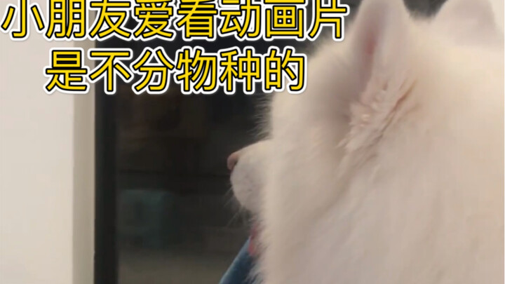 Các bạn nhỏ xem phim hoạt hình có luôn vểnh tai lên nghe không?