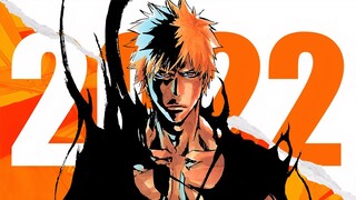 So About The Bleach Anime...