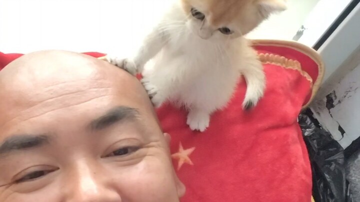 Chú bác dạy mèo