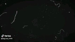 CAgear