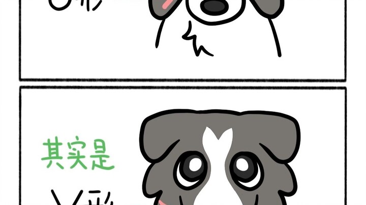 毛豆嘴筒子的视错觉