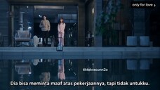 only for love episode 29 sub indo