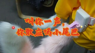 [I call you, little tail, do you dare to answer?] - Voice-controlled little tail prototype