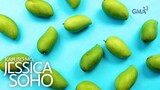 Kapuso Mo, Jessica Soho: Mango season is in!
