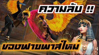ความลับ ของฟายพาสใหม่ไม่มีใครรู้!!