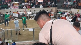2hits ulutan 2nd fight loss