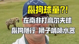 Man plays golf in South African nature park—hyenas tag along as caddies?!