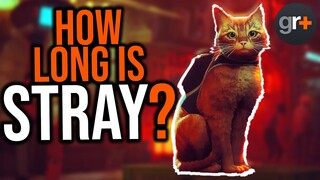 4 Things you Need to Know About Stray... | GamesRadar