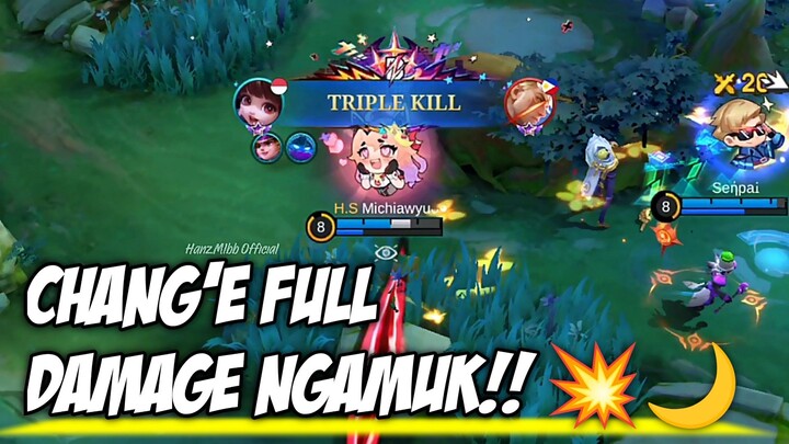 HERO IMUT, DAMAGE PSIKOPAT!! 😈🌙
