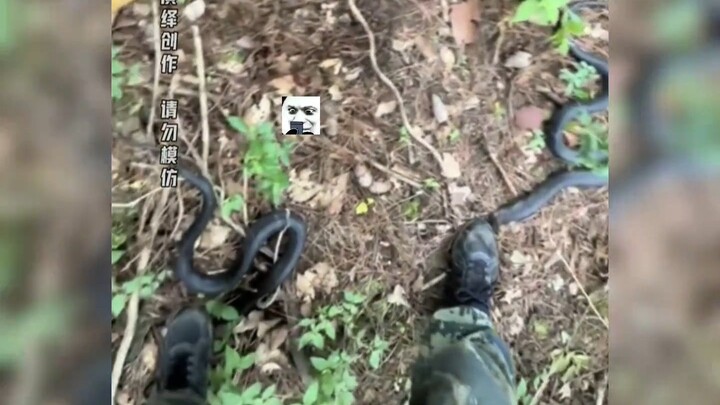 What should we do when we see this situation, guys?