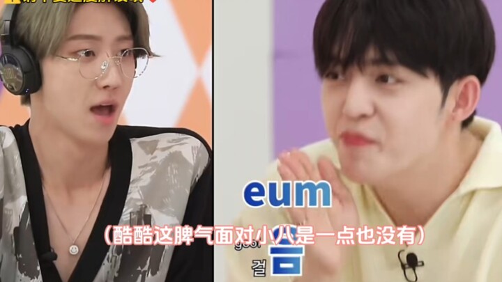 [Team Eight] The patience Ku Si shows when facing Xiao Ba, and the patience Xiao Ba shows when facin