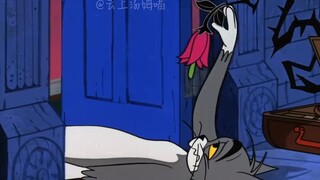 《ما أشتاق إليه》