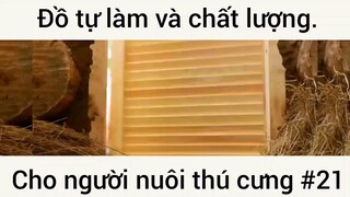 Đồ tự làm và chất lượng cho người nuôi thú cưng #21