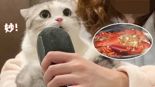 和猫一起吃年夜饭，猫咪们表演了很多节目