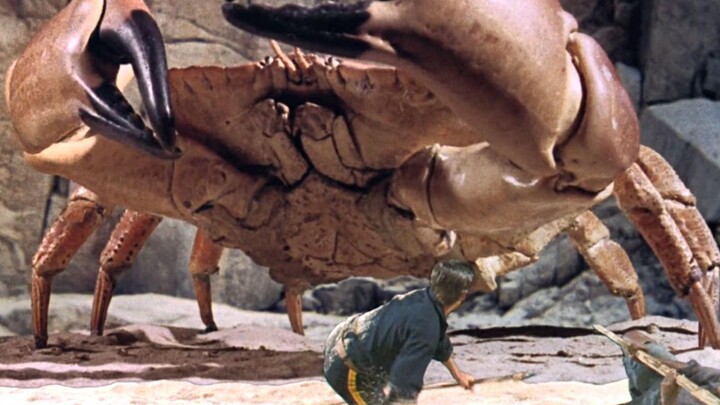 5 أشخاص يعيشون في جزيرة مهجورة متحوِّلة: النحل هنا أكبر من الفيلة، والسرطانات تشبه الوحوش الضخمة! [ب