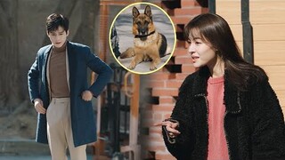 Cinderella sengaja menggoda Ketua Pegawai Eksekutif yang takut anjing, super comel!