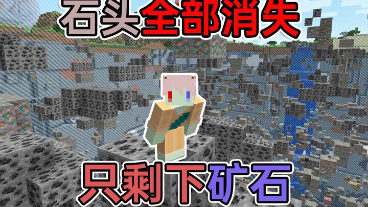 All the stones have vanished! Only minerals and mob grinders remain. How do I survive? Minecraft