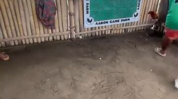 melsim grey throwback