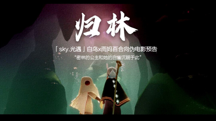 【Sky-光遇/归林】雨妈x白鸟伪电影预告