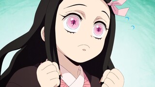 Nezuko dibawa oleh Inosuke untuk dilatih, Carbon sama sekali tidak khawatir, si anak berambut kuning