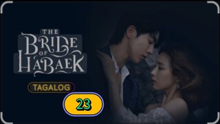 THE BRIDE OF HABAEK EPISODE 23 TAGALOG