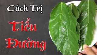 Chỉ cần uống cốc nước này mỗi ngày, bệnh tiểu đường nặng đến mấy cũng phải khỏi